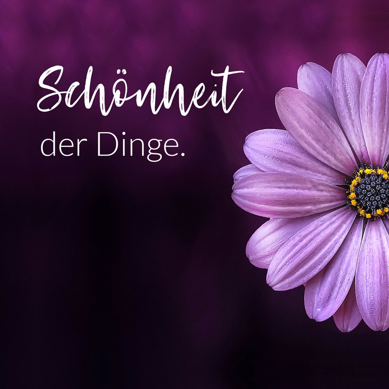 Die Schönheit der Dinge