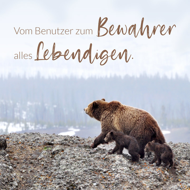 Vom Benutzer zum Bewahrer